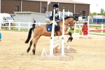 SBM_008259