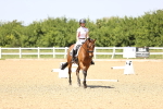 SBM_009162