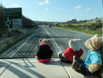 Leisure Bears
