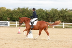 SBM_002271