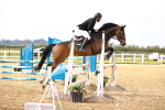 SBM_001913