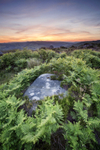 Baslow Edge Rock