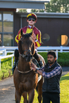 300525-Race 4-Albegone-7711