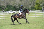 WJ7_9105