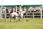SBM_15780