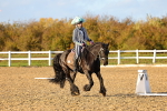 SBM_003277