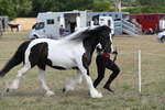 WJ6_6516