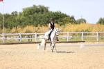 SBM_012384