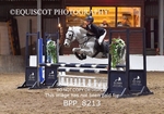 BPP_8213