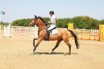 SBM_001317
