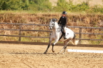 SBM_000448