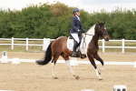 SBM_001831