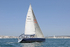 190629 FIREFLY GBR8078R D43A4467