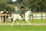 SBM_69929