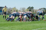Guernsey v Westcombe Park-12