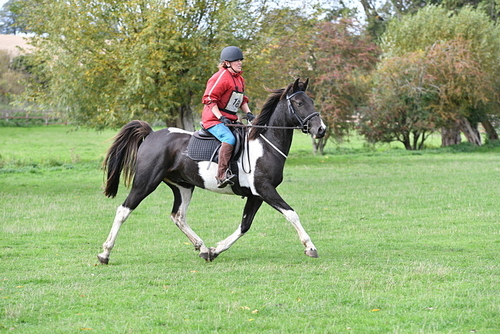 WJ5_9889