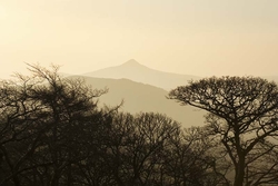 Great Sugar Loaf