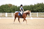 SBM_006567