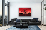 The Savannah as seen hanging