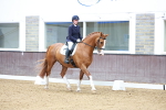 SBM_001944