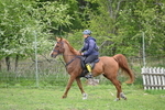 WJ6_3231