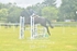 BPP_3343