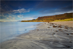 Along the Shoreline