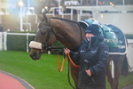 141125-Race 3-Wade Out-9813
