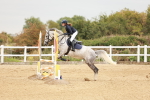 SBM_008645