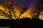 Sky on Fire