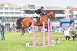 BPP_6939
