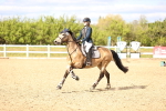 SBM_003729