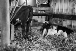 NYS Fair Association - Upstate Agricultural Counties 2010-2014 portfolio