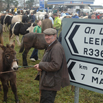 4, The horse fair at Maum Cross, Galway