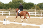 SBM_002009