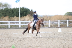 SBM_015967