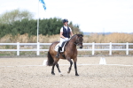 SBM_015353