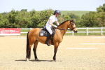 SBM_008538