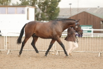 SBM_07754