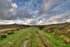 Ancient Tramway looking towards Haytor