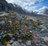 Grossglockner Valley II
