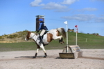 WJ5_8956