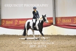 BPP_8374