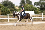 SBM_008843