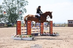Cls 3 Snr Foxhunter portfolio