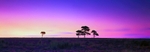 North Yorkshire Moors England