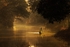 Backwaters