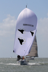 170731 WEE BEAR GBR9203R 1Y3A9366_Ed