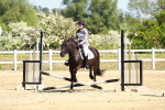 SBM_007361