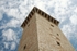 Rocca Flea